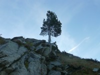 /album/fotogalerie/lesung-osterreich-034-jpg/